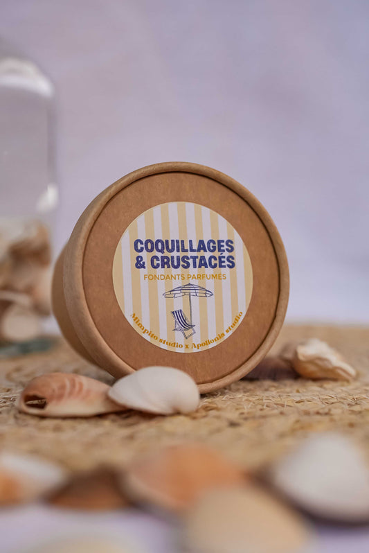 Coffret 8 coquillages