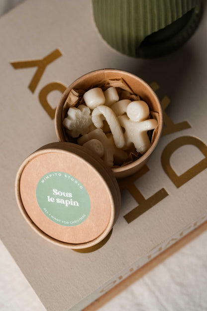 Box fondants - Sous le sapin